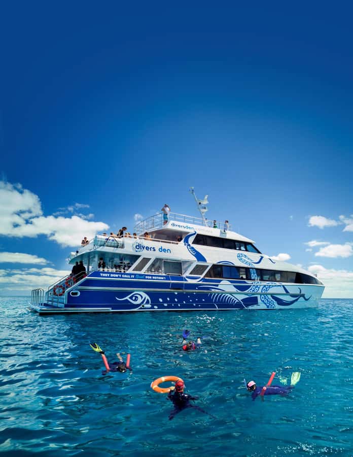 Cairns: Premium Snorkelling and Diving Reef Day Trip - The 90-minute boat ride: comfort, toilets, and how to set yourself up