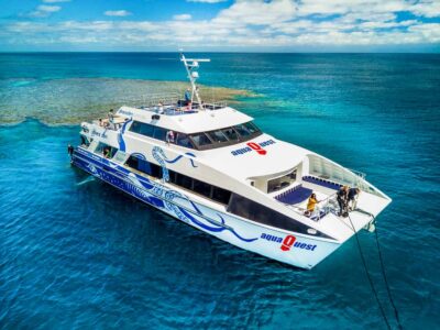 Cairns: Premium Snorkelling and Diving Reef Day Trip - Morning start at Cairns Marlin Marina, then out to the reef fast