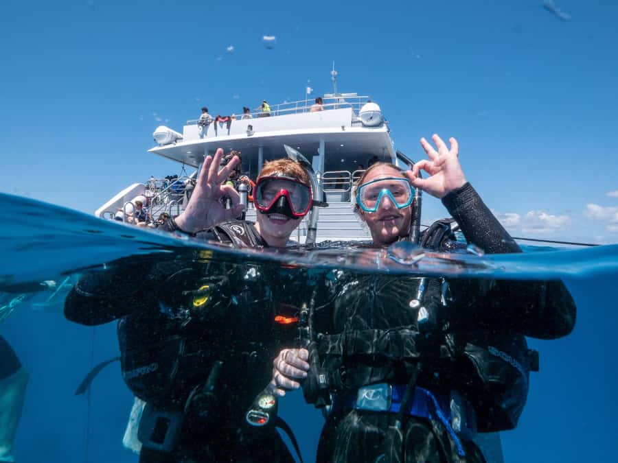 Cairns: Premium Snorkelling and Diving Reef Day Trip - Choosing reef spots: Norman, Saxon, and Hastings moorings