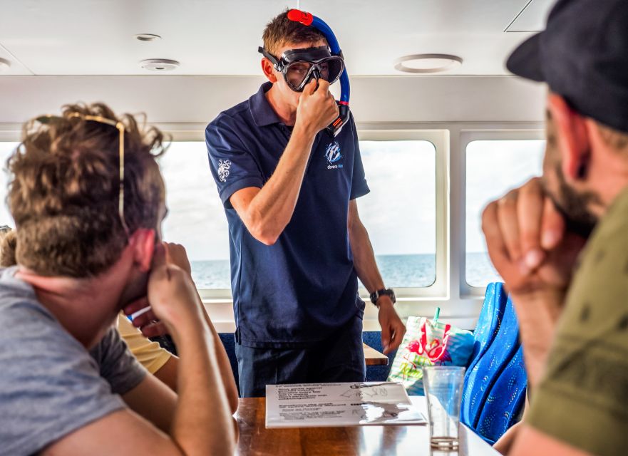 Cairns: Premium Snorkelling and Diving Reef Day Trip - Optional intro scuba training: what’s included, and what to check first