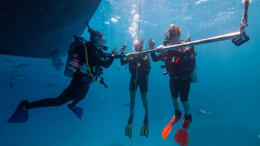 Cairns: Premium Snorkelling and Diving Reef Day Trip - Lunch and afternoon tea: the part that keeps your energy up