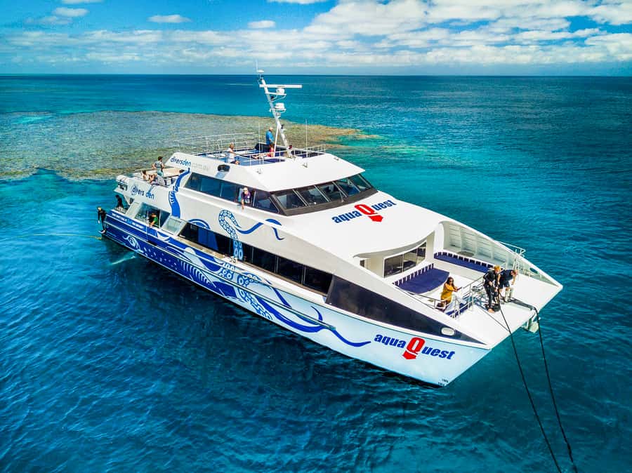 Cairns: Premium Snorkelling and Diving Reef Day Trip - Morning start at Cairns Marlin Marina, then out to the reef fast