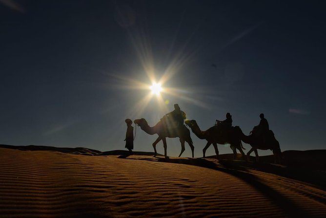 Camel Ride & Overnight in Luxury Desert Camp from Merzouga - Transfers, Timing, Group Size, and What They Mean for You