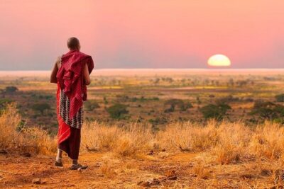 Camping to Serengeti & Ngorongoro Premium Parks - Serengeti Day: UNESCO plains, the hunt for three big cats