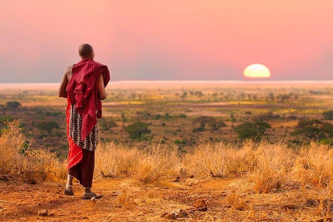 Camping to Serengeti & Ngorongoro Premium Parks - Serengeti Day: UNESCO plains, the hunt for three big cats
