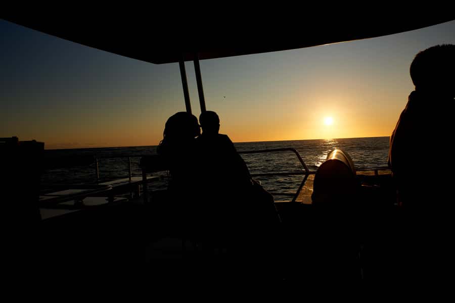 Cape Town: 1.5-Hour Luxury Sunset Cruise with Prosecco - Key Highlights You’ll Care About