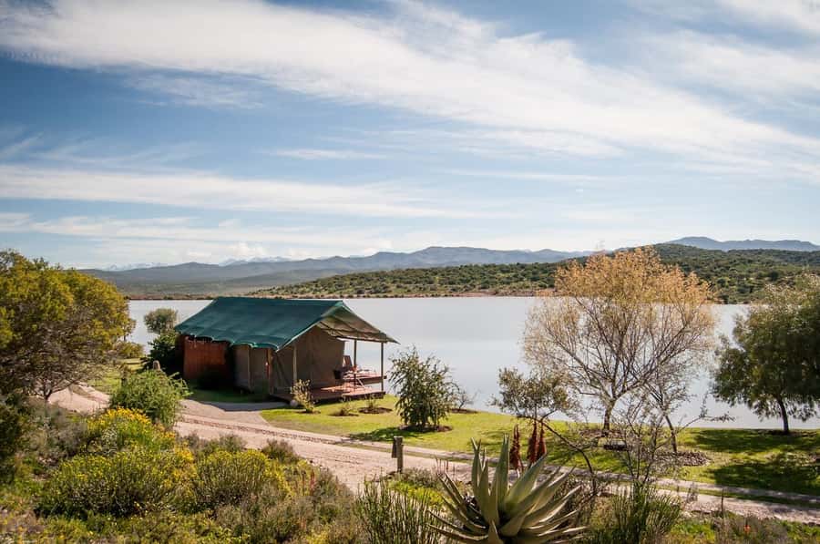 Cape Town: 2-Day Wildlife Tour with Safaris and Luxury Stay - Who should book this safari, and who should skip it