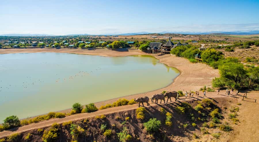 Cape Town: 2-Day Wildlife Tour with Safaris and Luxury Stay - Buffelsdrift Lodge tents and the Klein Karoo night