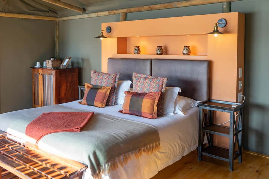 Cape Town: 2-Day Wildlife Tour with Safaris and Luxury Stay - Wildlife expectations: great odds for big animals, but not a guarantee