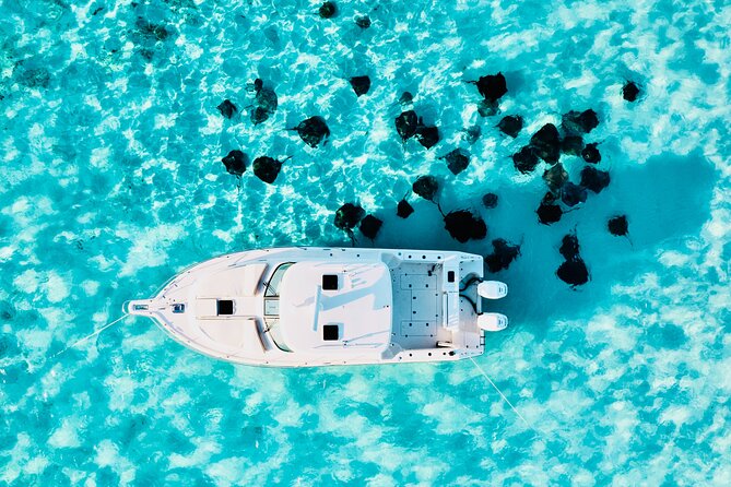 Cayman Private Luxury Charters - Stingray City, Snorkel, & More - A private charter day on Grand Cayman, minus the hassle