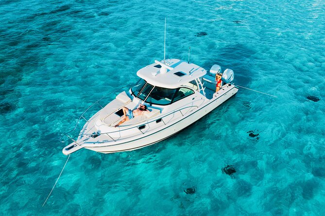 Cayman Private Luxury Charters - Stingray City, Snorkel, & More - Stingray City: the sandbar encounter that drives the whole day
