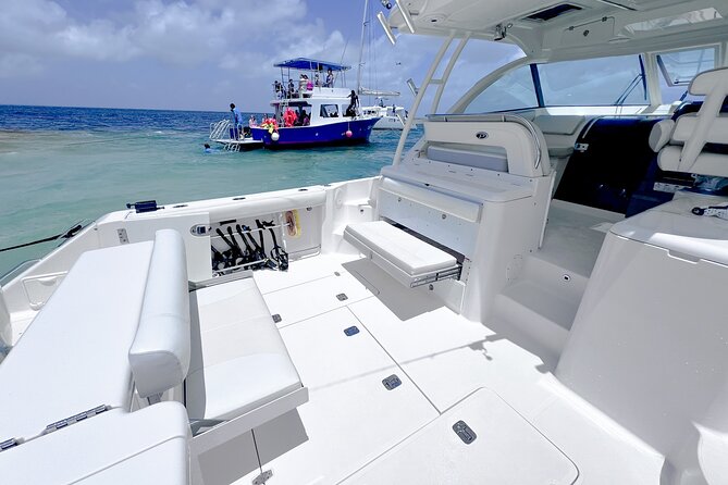 Cayman Private Luxury Charters - Stingray City, Snorkel, & More - Bioluminescent bay add-on: a nighttime change of pace