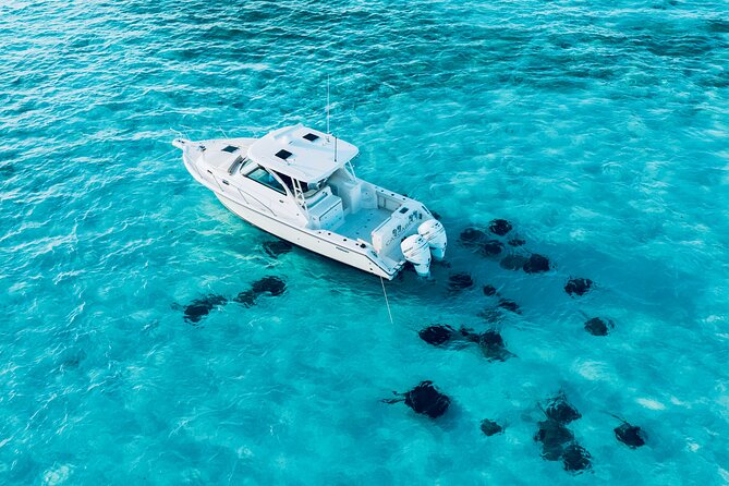 Cayman Private Luxury Charters - Stingray City, Snorkel, & More - Timing, weather, and cruise-day nerves