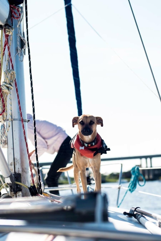 Charleston: Private BYOB Luxury Yacht Cruise - Key points at a glance