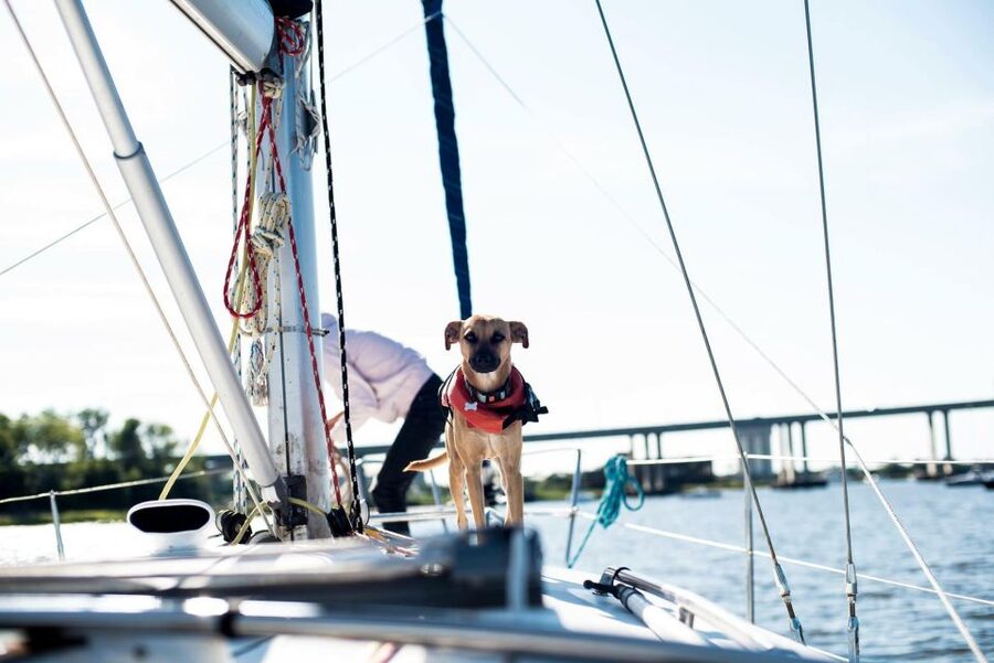 Charleston: Private BYOB Luxury Yacht Cruise - BYOB Planning: Snacks, Drinks, and What’s Waiting on Board