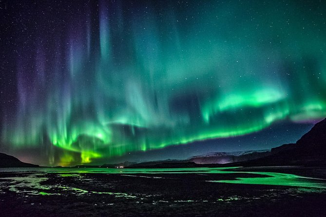 Chasing Aurora Borealis with Warmth and Treats in Premium Tour! - What You Get for Around $249 (and Why It’s Not Just the Ticket)