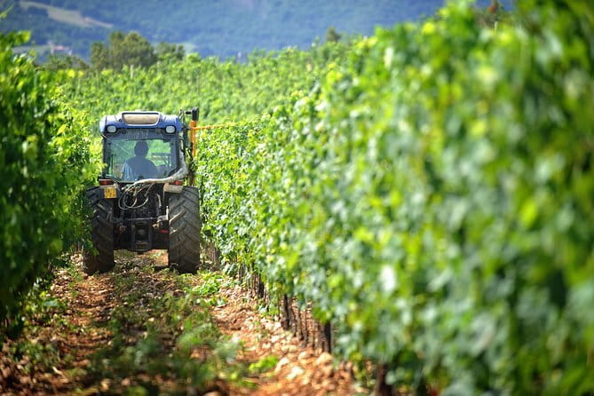 Chianti Vineyards Tours in Private Luxury Van from Florence - Key things to know before you go