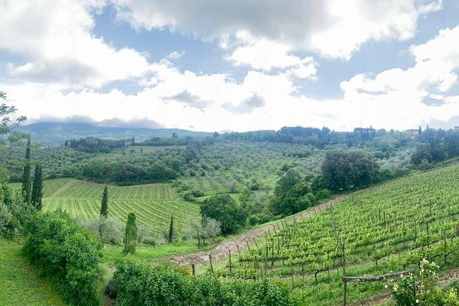 Chianti Vineyards Tours in Private Luxury Van from Florence - Brogioni SAS Wine Tasting: Manual Craft and Organic Chianti Classico