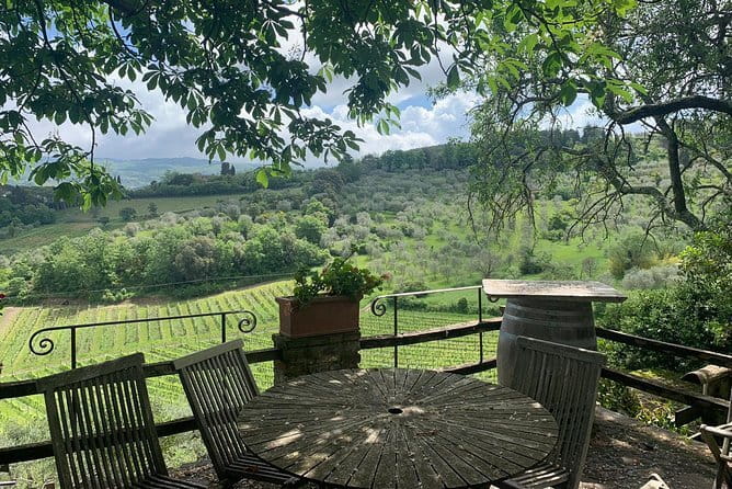 Chianti Vineyards Tours in Private Luxury Van from Florence - How the 8-Hour Schedule Really Feels on the Ground