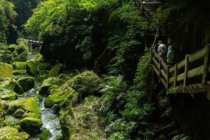Chongqing Wulong: All inclusive luxury private trip to 2 spots - Longshuixia Gap: canyon drama and the wet-weather reality