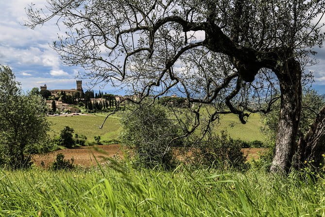Cinque Terre & Pisa Premium Tour from Florence - Price and Value: Is $122.50 Worth It?