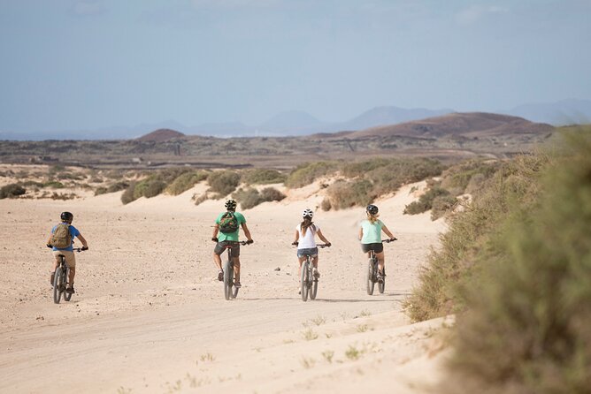Coast to Coast PREMIUM eBike Tour; moderate level - 45 km - Price and value: does $77.89 make sense for a half-day e-bike experience?