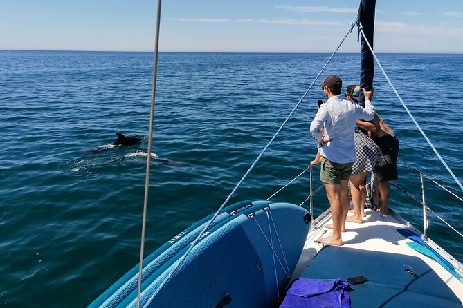 Coastal Tour on a Luxury Sailing Yacht From Vilamoura - A 10:30 luxury sailing cruise from Vilamoura Marina Plaza