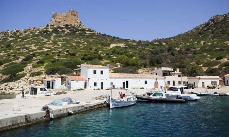 Colonia Sant Jordi: Premium & Fast Boat Tour around Cabrera - Should you book the Premium or Fast Cabrera tour?