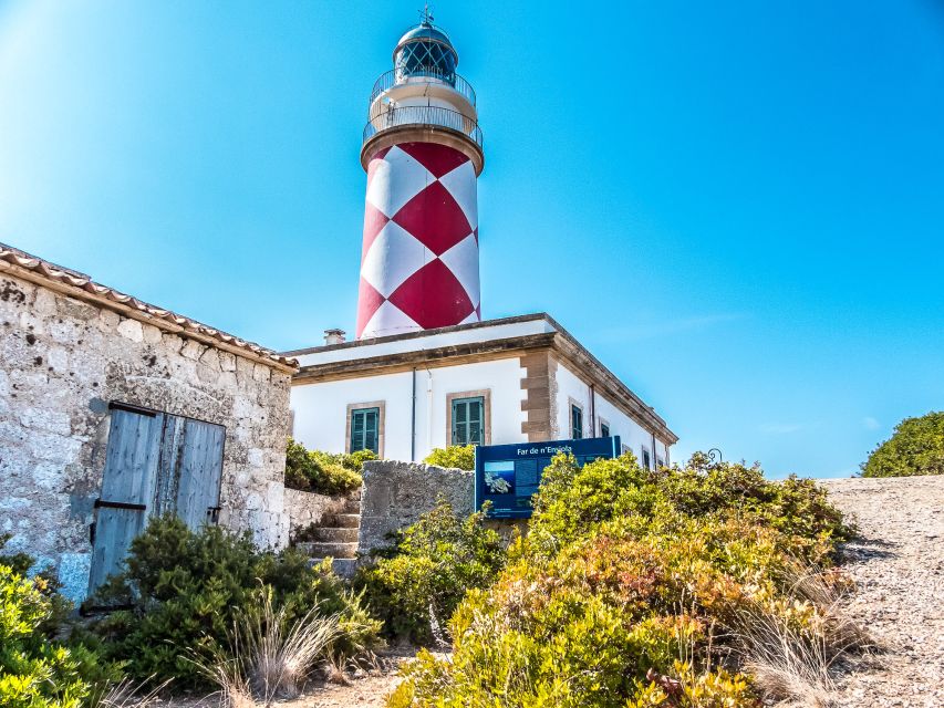 Colonia Sant Jordi: Premium & Fast Boat Tour around Cabrera - Price and value: what’s included in the $66 ticket