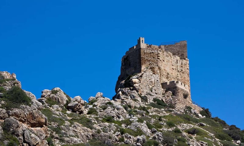 Colonia Sant Jordi: Premium & Fast Boat Tour around Cabrera - Who should book this Cabrera boat tour?