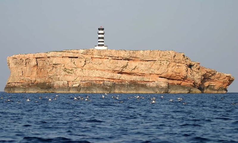 Colonia Sant Jordi: Premium & Fast Boat Tour around Cabrera - From the port to Foradada: the boat part starts strong