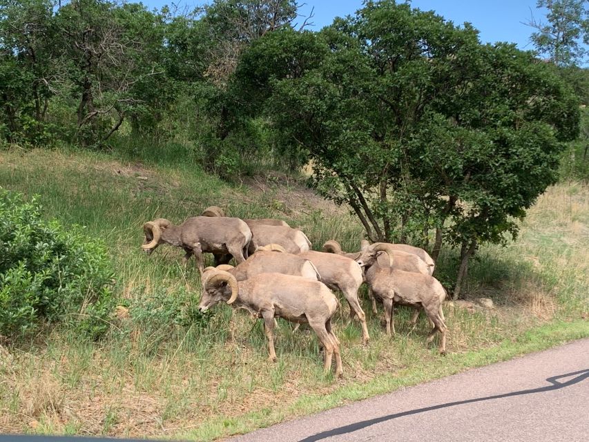 Colorado Springs: Garden of the Gods Luxury Jeep Tour - Photo Stops Aren’t an Afterthought Here