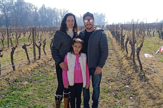 Cousiño Macul Vineyard - Maipo Valley - Premium Tasting - HD - Cousiño Macul from Santiago: a premium day that doesn’t swallow your schedule