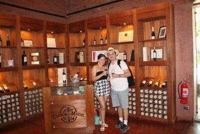 Cousiño Macul Vineyard - Maipo Valley - Premium Tasting - HD - The premium tasting format: what you actually get in that first hour