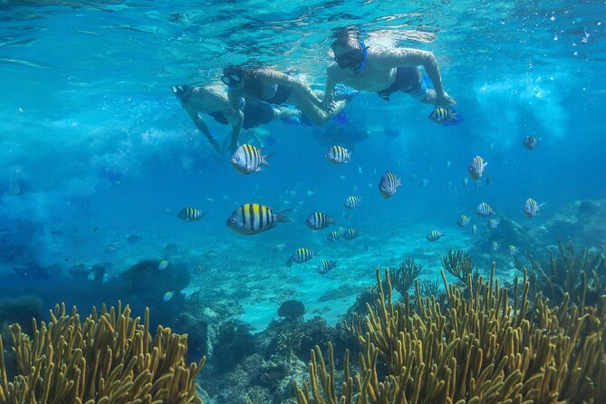 Cozumel Luxury Sailing & Snorkeling with Lunch and Open Bar Onboard - Snorkeling stops: what you’ll see, and how to handle reef conditions