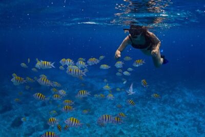 Cozumel Luxury Sailing & Snorkeling with Lunch and Open Bar Onboard - Onboard the catamaran: the comfort factor and the crew vibe