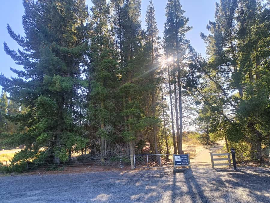 Cromwell: Lake Dunstan Trail Bike Rental and Luxury Shuttle - Reaching Clyde: a celebratory drink, then the easy part