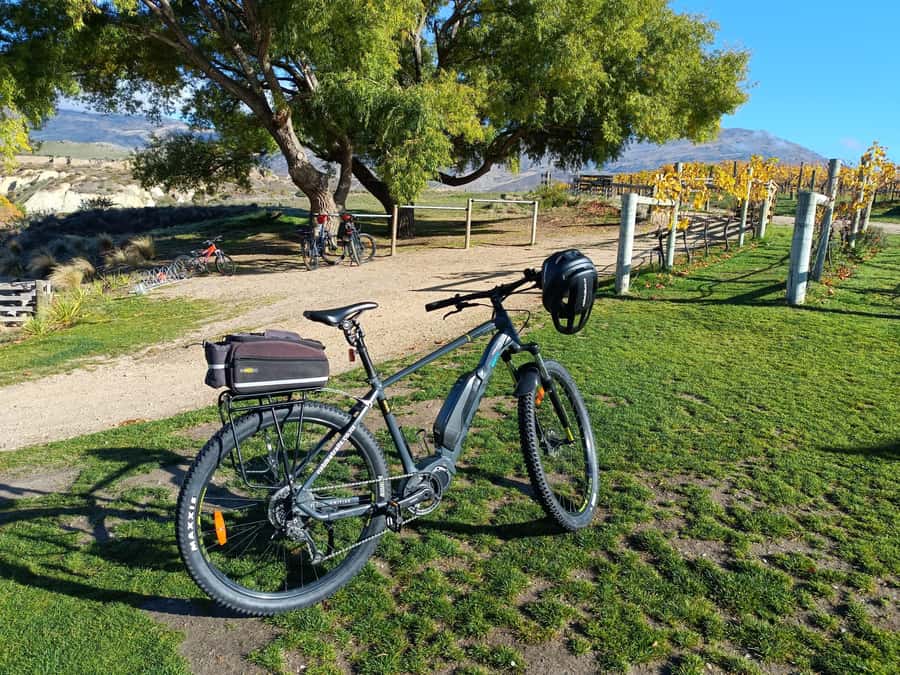 Cromwell: Lake Dunstan Trail Bike Rental and Luxury Shuttle - Who should book this, and who should skip it