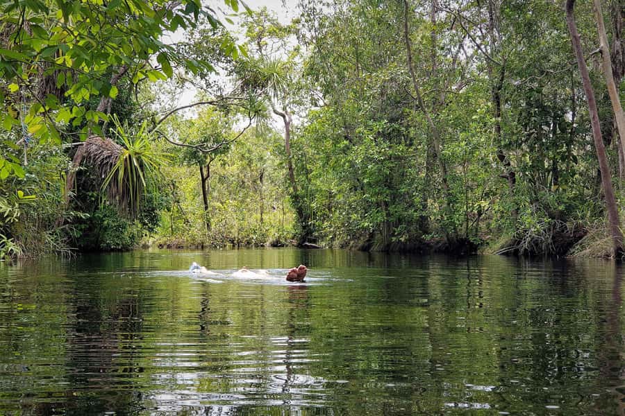 Darwin: Premium Litchfield Regional Small Group Day Tour - Waterfall time at Litchfield: Wangi, Tolmer, Florence, and the best way to plan your stops