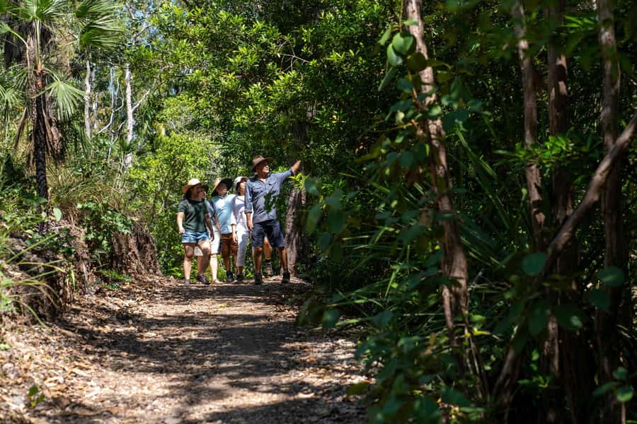 Darwin: Premium Litchfield Regional Small Group Day Tour - Price and value: why $201 can make sense for a full day with water, park entry, and food
