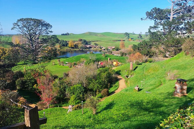Day Tour Hobbiton + Rotorua from Auckland in Luxury Minibus - Te Puia in 3 Hours: Lunch and Māori Culture in One Stop