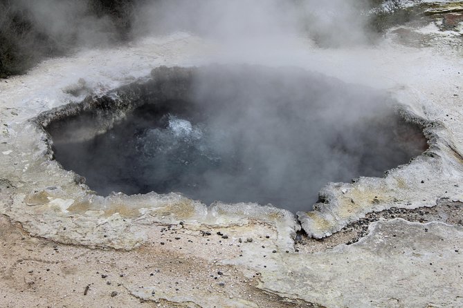 Day Tour Hobbiton + Rotorua from Auckland in Luxury Minibus - Rotorua Sightseeing: Expect One Hour, Not the Whole Kingdom
