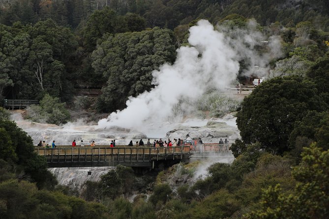 Day Tour Hobbiton + Rotorua from Auckland in Luxury Minibus - Price and Value: Why $312.77 May Feel Fair (or Not)