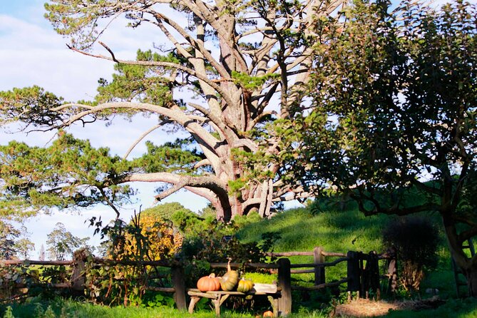 Day Tour Hobbiton + Rotorua from Auckland in Luxury Minibus - Who This Tour Suits Best