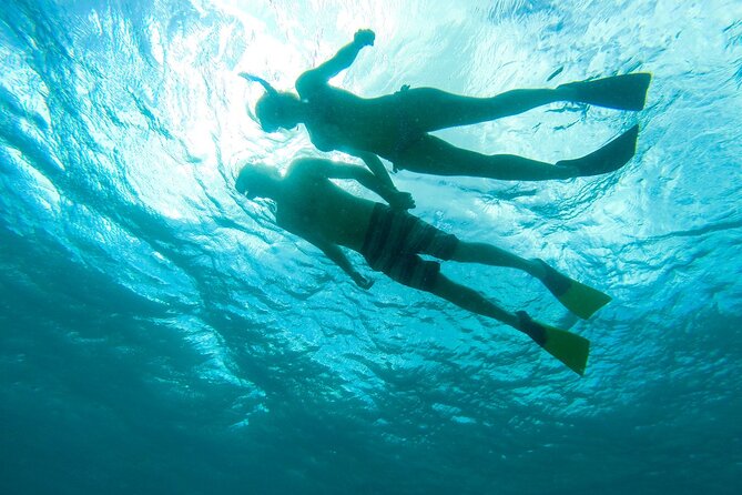 Deluxe Half-Day Snorkel Sail on Lady Grace Luxury Catamaran - Getting There at the Ritz-Carlton: Timing, Check-In, and Smooth Start