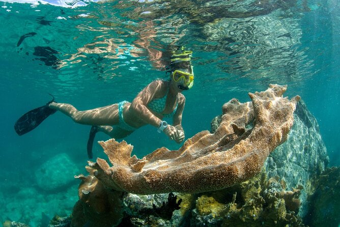 Deluxe Half-Day Snorkel Sail on Lady Grace Luxury Catamaran - Who This Tour Fits Best (And Who Might Want a Different Plan)