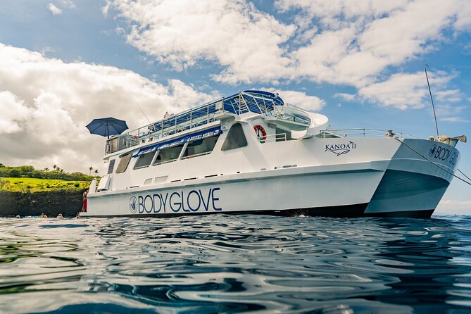 Deluxe Snorkel & Dolphin Watch Aboard a Luxury Catamaran from Kailua-Kona - Check in at 75-5629 Kuakini Hwy, then settle into a smooth Kona morning