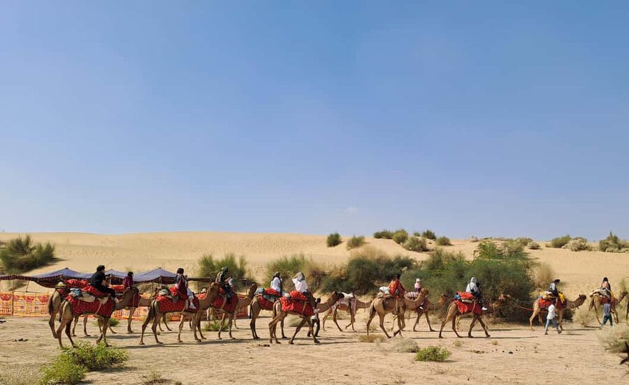 Desert Rose Jaisalmer: Luxury Tent In Thar Desert - The Thar Desert arrival: where the camel ride becomes the highlight