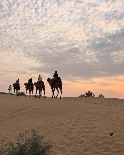 Desert Rose Jaisalmer: Luxury Tent In Thar Desert - Night adventure: off-road rides, stars, and how to maximize it