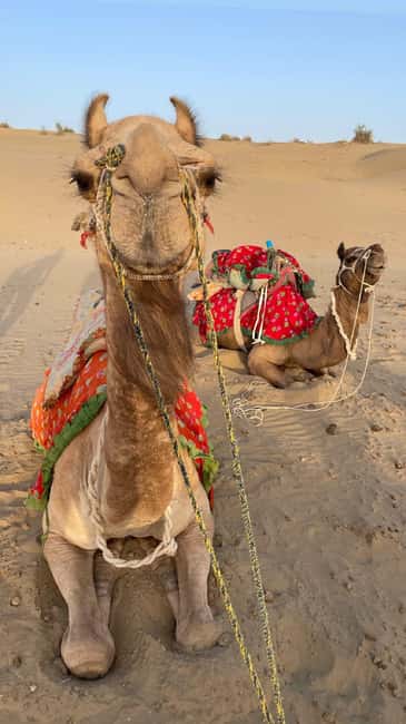 Desert Rose Jaisalmer: Luxury Tent In Thar Desert - Sunrise morning: breakfast and the calm drive back